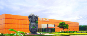 beacon plant